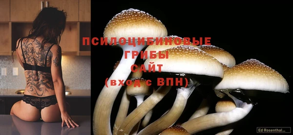 PSILOCYBIN Вязники