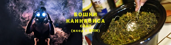 PSILOCYBIN Вязники