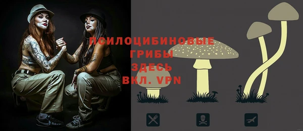 PSILOCYBIN Вязники