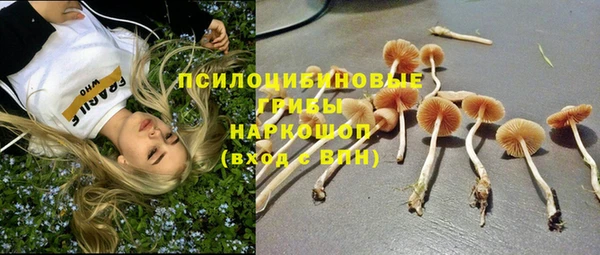 экстази Вяземский