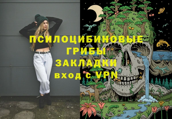 PSILOCYBIN Вязники