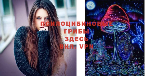 МДПВ Вязьма