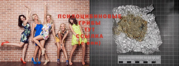 МДПВ Вязьма