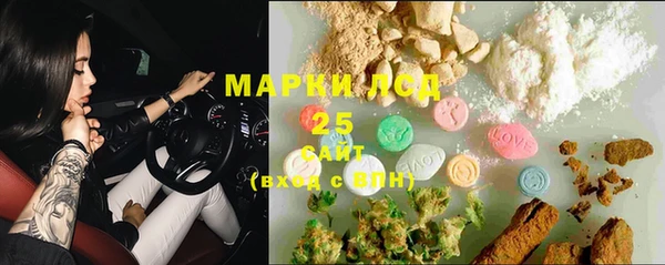 PSILOCYBIN Вязники