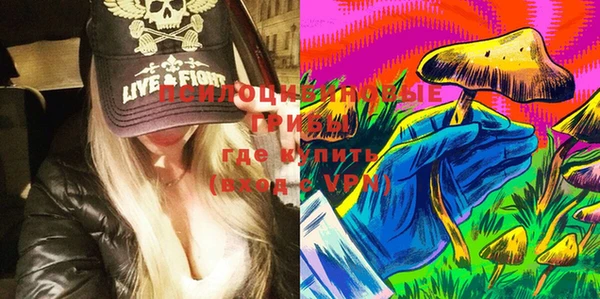 PSILOCYBIN Вязники
